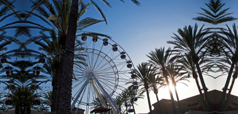 Coachella Music Festival